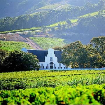 Constantia Wine farm classic landy tour