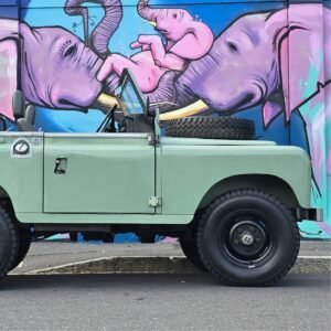 Green with envy