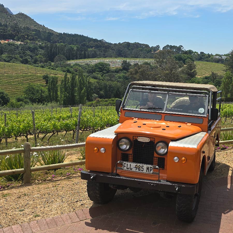 Constantia Winelands tour with Vintage Ventures